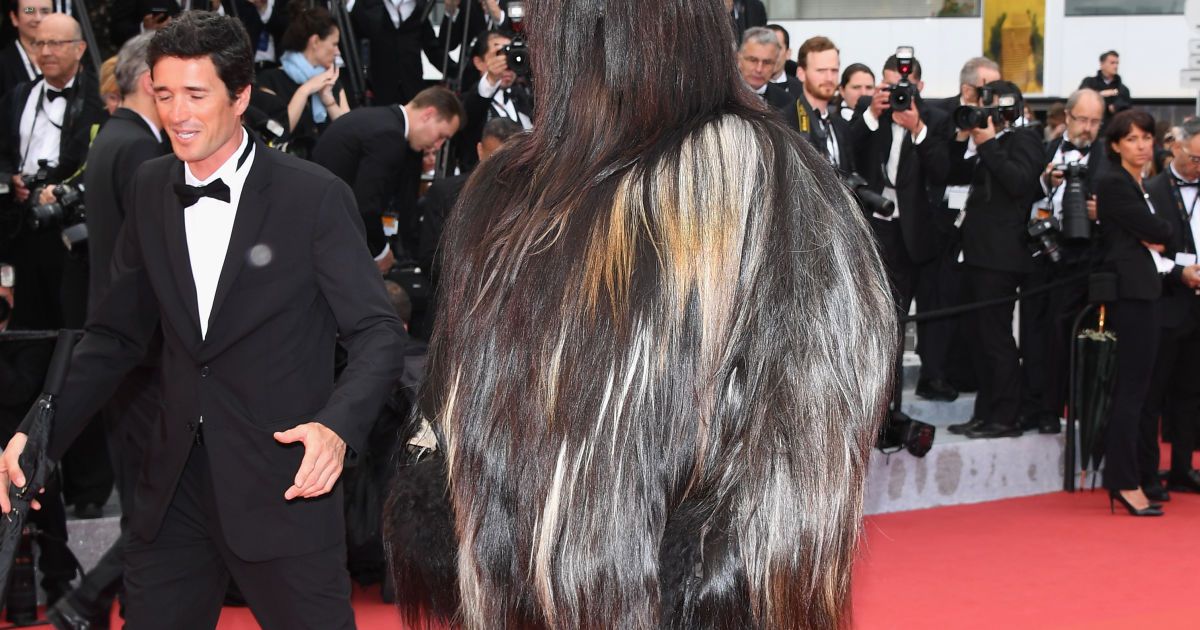 Талисман фильма "Тони Эрдманн"