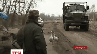 Понад 6 тисяч загиблих на Донбасі за рік АТО нарахували в ООН