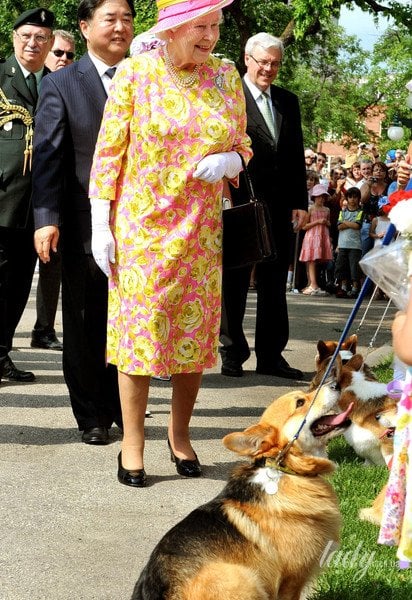 Королева Єлизавета II з собаками породи коргі / © Getty Images