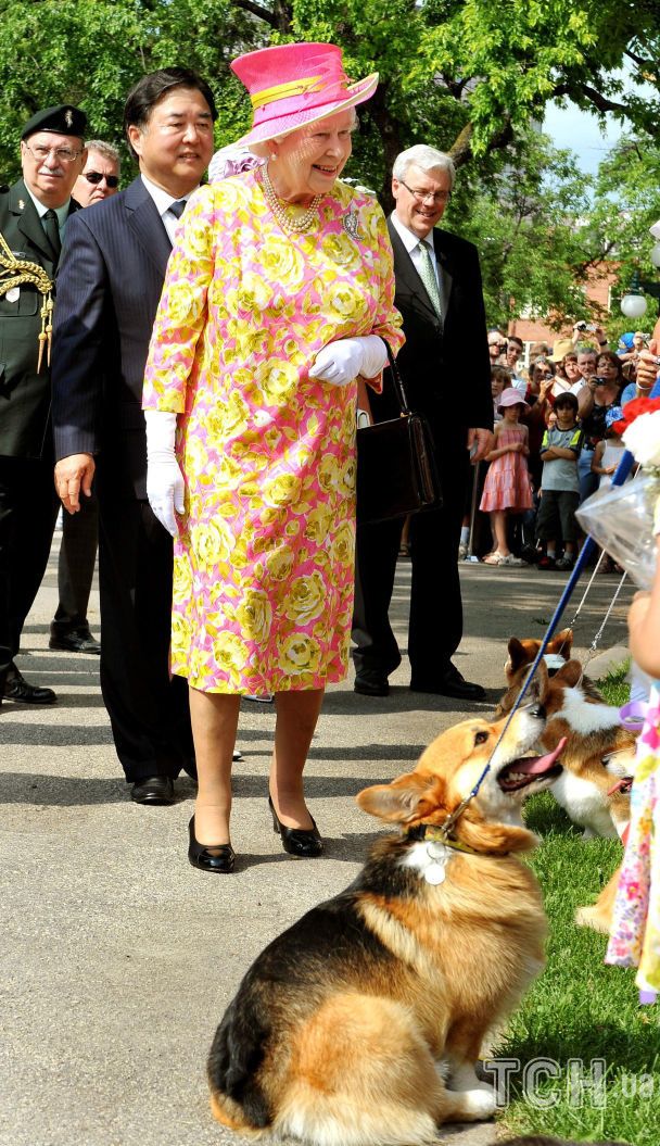Кто будет заботиться о собаках королевы Елизаветы: последние новости