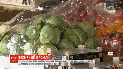 Урожай ранніх овочів: які ціни на городину та коли чекати здешевлення