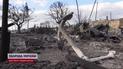Пекельна пожежа на Гаваях: люди рятувались в океані, а міста перетворились на згарища