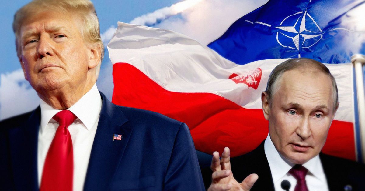 У Трампа нібито є план закінчення війни