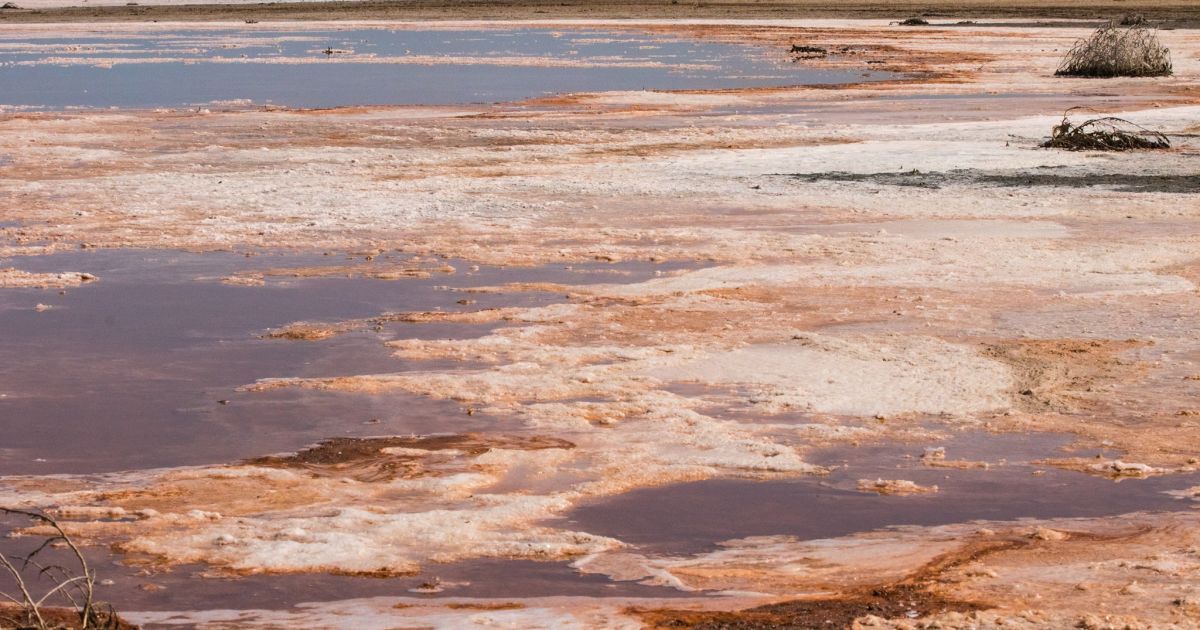 У національному парку "Тузловські лимани" висохли 5 з 13 водойм, ще одна на межі висихання