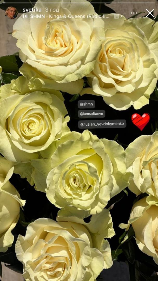 Син та невістка Софії Ротару / © instagram.com/sofiarotaru.official