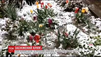 Крим засипало снігом