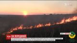 Боевики из "Градов" обстреляли позиции на мариупольском направлении