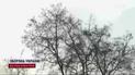 Погода на выходные: сильные порывы ветра и похолодание
