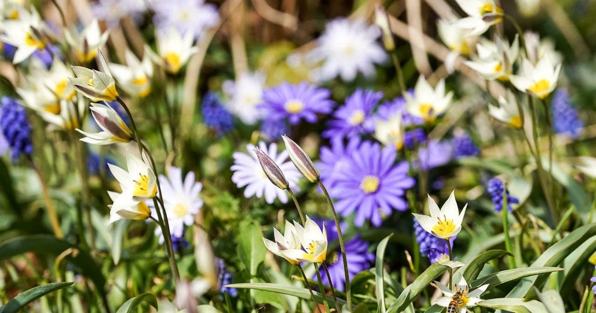 Який сьогодні, 19 квітня, день ангела