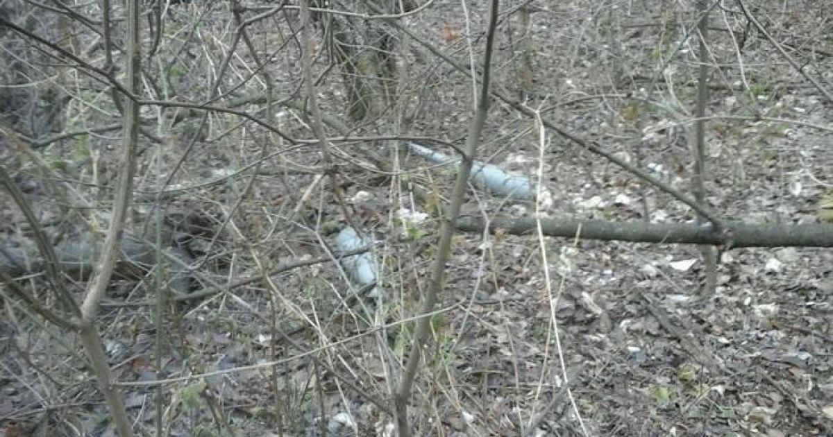 Десятки мин и снарядов. В зоне АТО нашли тайники с боеприпасами