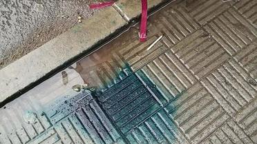 Напад на агітаторів Порошенка у Миколаєві_3 / © ГУ Нацполиции в Николаевской области