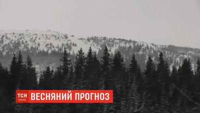 Синоптики предупреждают об опасности схода лавин в Карпатах