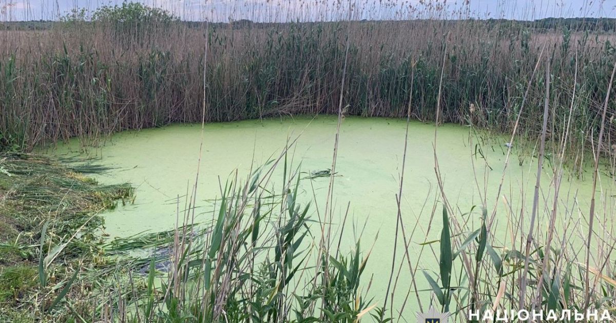 Дитина втопилася у водоймі