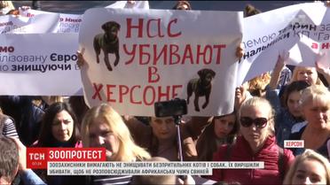 В Херсоне зоозащитники вышли на протест против убийства животных