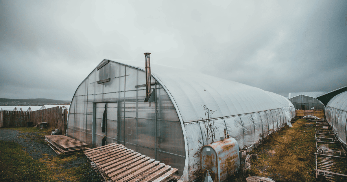 Чи треба закривати теплицю на зимовий період