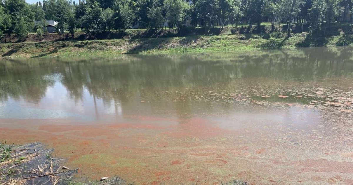 В ГСЧС назвали количество смертей на водоемах с начала года.