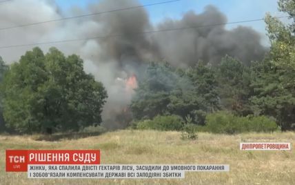 На Днепропетровщине бабке присудили 220 тысяч штрафа за случайно сожженные 200 га леса