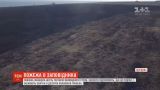 Пожежа знищила шість тисяч гектарів заповідного степу на Одещині