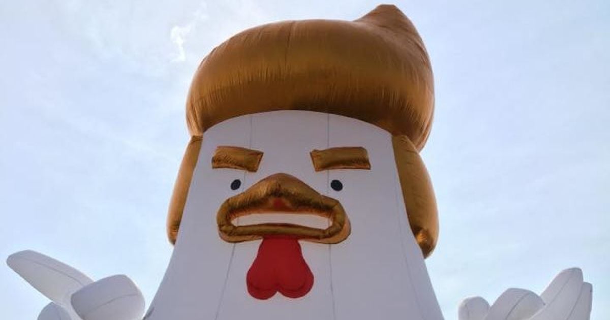 На акції у Вашингтоні Трампа потролили надувним курчам із фірмовою зачіскою глави США