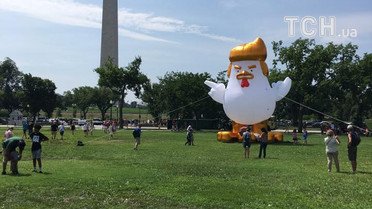 Курчатко Дон біля Білого Дому_10 / © facebook.com/ChickenDonnyBoy