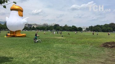 Курчатко Дон біля Білого Дому_2 / © facebook.com/ChickenDonnyBoy