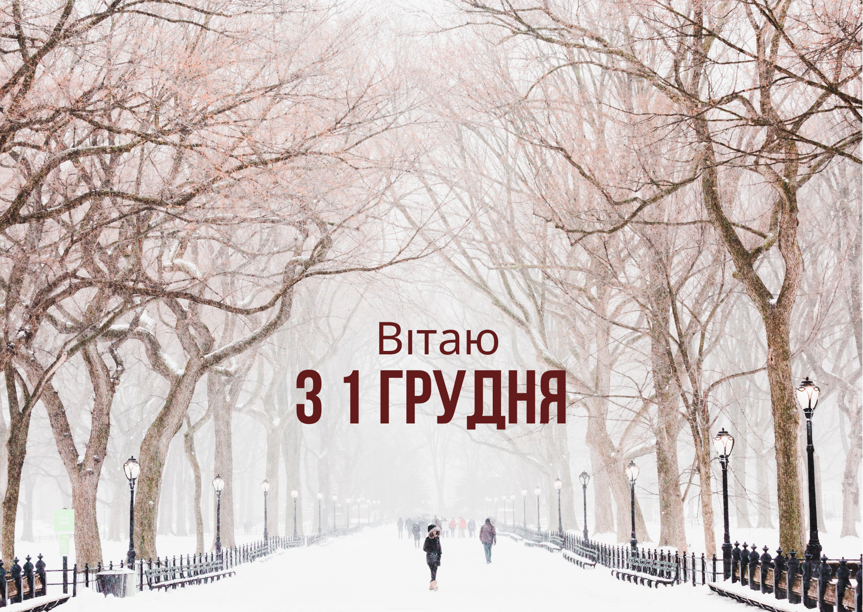 1 декабря ❄ красивое начало зимы в прозе и картинках ❄⛄