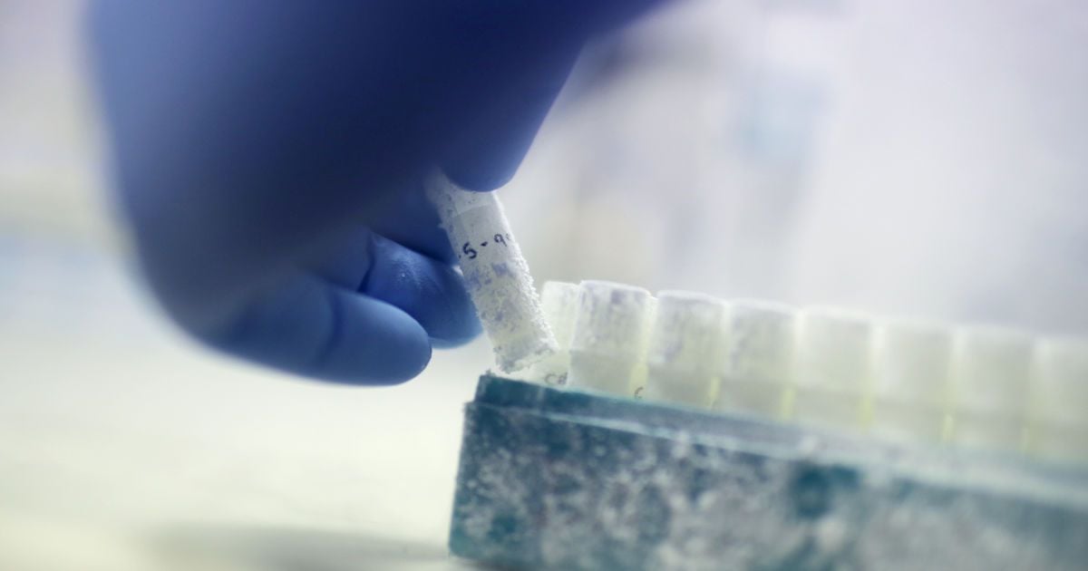 Дитина від трьох батьків: як українські лікарі здійснили прорив у боротьбі із безпліддям