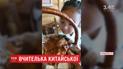 5-летняя девочка из Ивано-Франковска стала учить пользователей соцсетей китайскогму языку