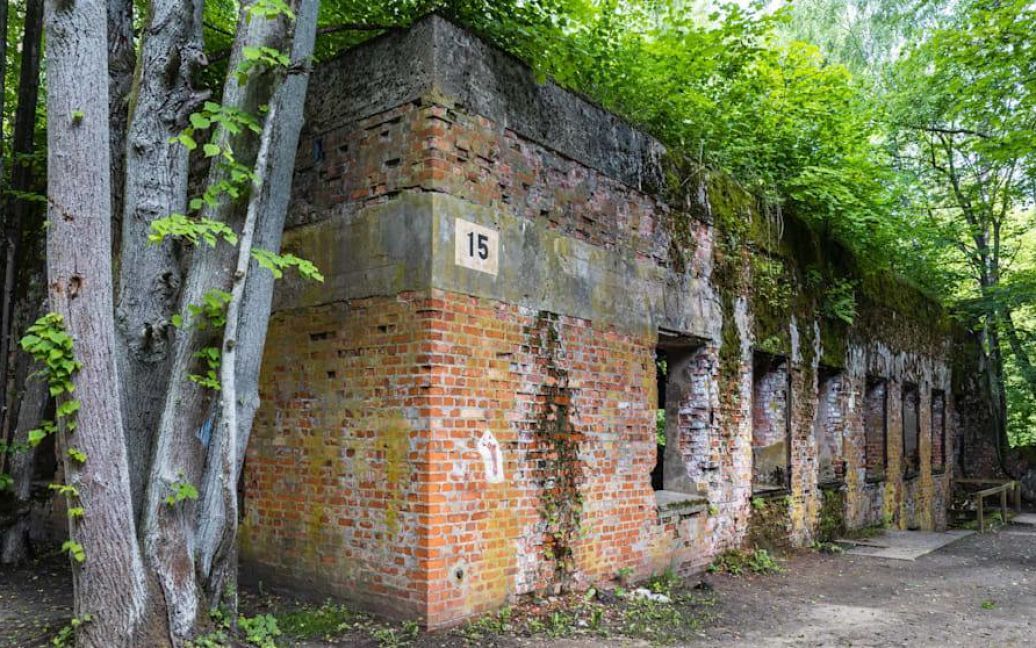 Археологи-любители нашли пять скелетов в доме, принадлежавшем Герману Герингу C4264e414c7438018609a31e89b1c215