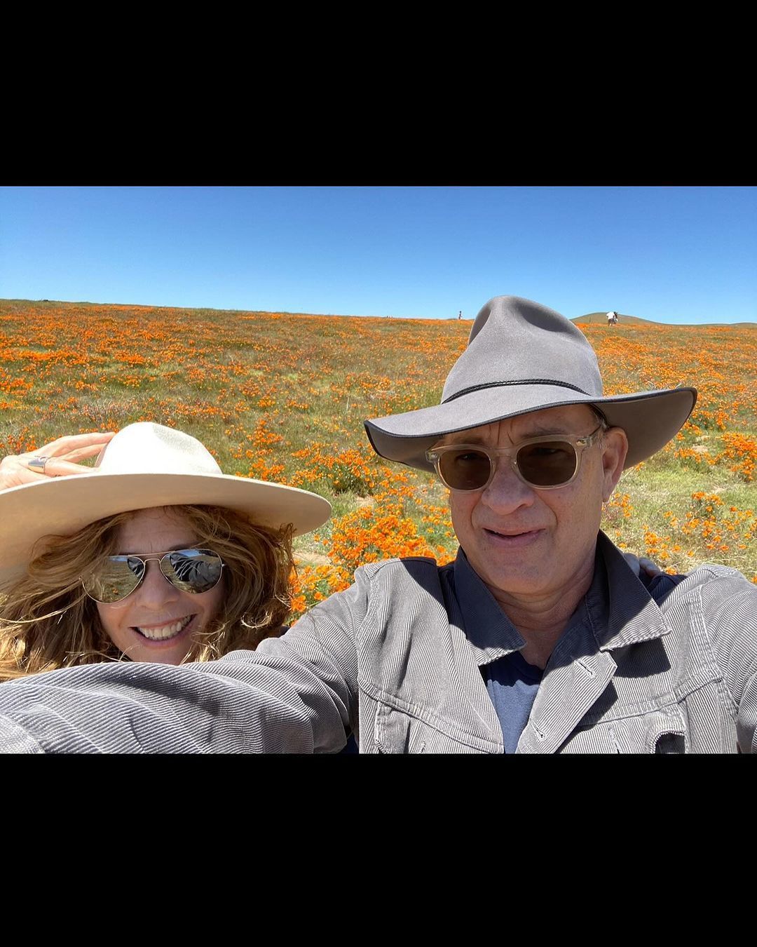 Том Хэнкс с женой. Фото: Instagram Риты Уилсон / © 