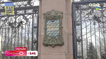 Які справи у найстаршого зоопарку України у Миколаєві