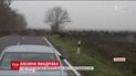 У Скандинавії сотні оленів перебігли дорогу перед ошелешеними водіями