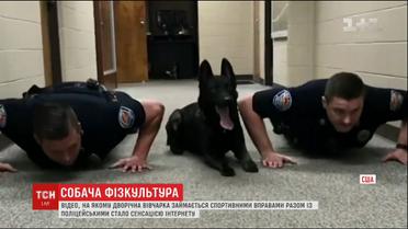 Пес-спортсмен став справжньою американською інтернет-сенсацією