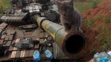 Наименьшие боевые побратимы / © facebook.com/theministryofdefence.ua