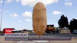 Новости мира: на Кипре установили 5-метровый памятник картофелине