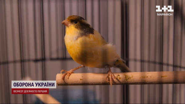 Людмила