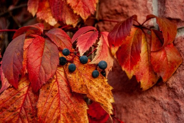 Народні прикмети 14 жовтня / © unsplash.com