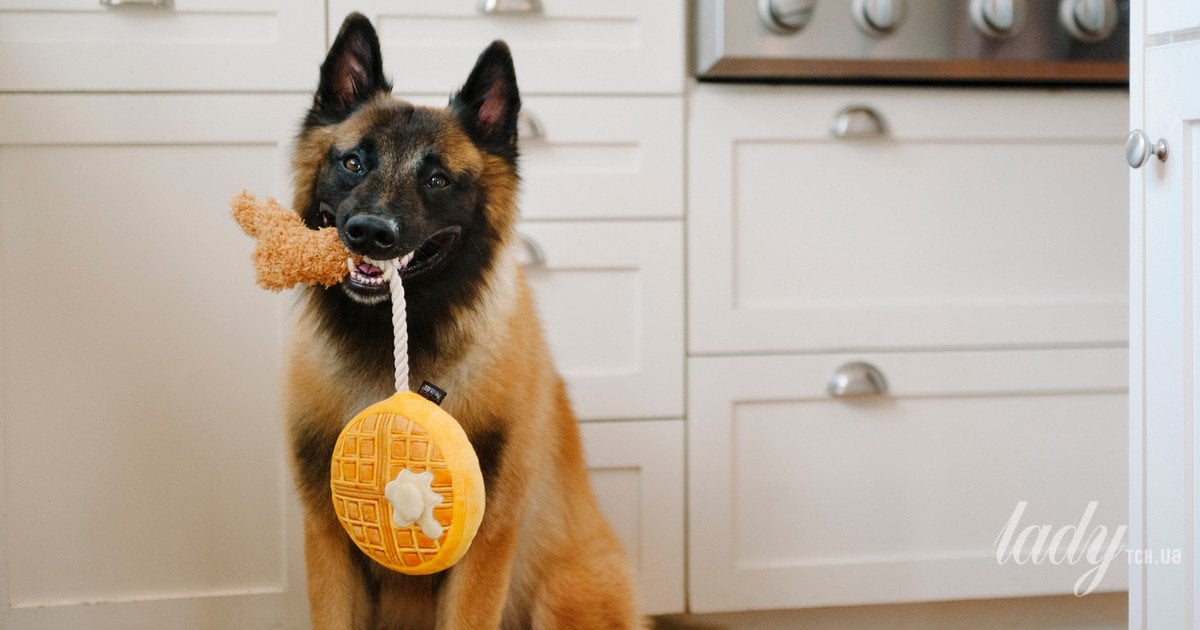 Тваринне батьківство