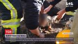 Годовалый малыш упал в выгребную яму в поселке Кринички