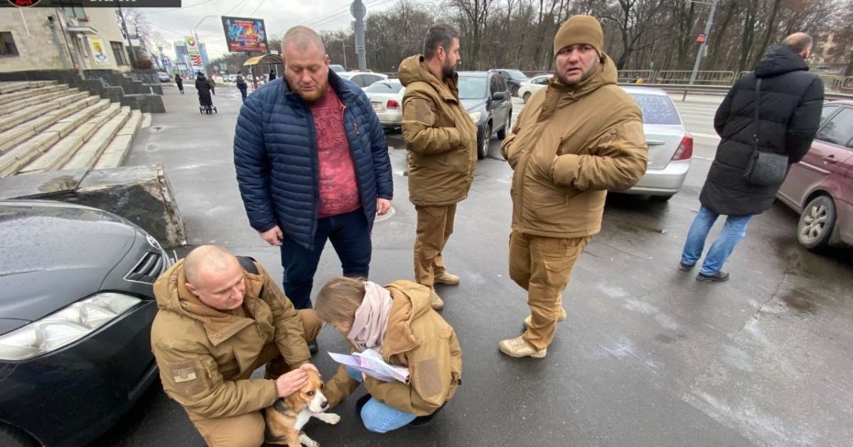В Киеве пес сорвался с поводка, побежал через шесть полос проспекта и попал под колеса внедорожника