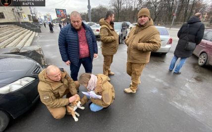 У Києві пес зірвався з повідця, побіг через шість смуг проспекту та потрапив під колеса позашляховика