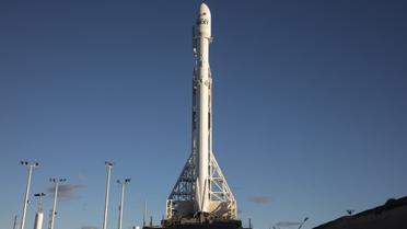 ракета SpaceX_1 / © SpaceX/Twitter