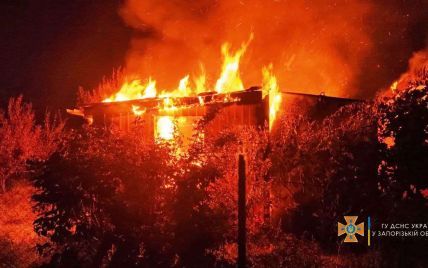 В Запорожской области горел дачный дом: погибло два человека (фото)