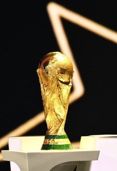 Трофей чемпионата мира по футболу
