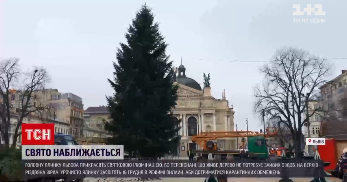 Во Львове завершают украшать главную елку города: видео