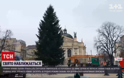 У Львові завершують прикрашати головну ялинку міста: відео