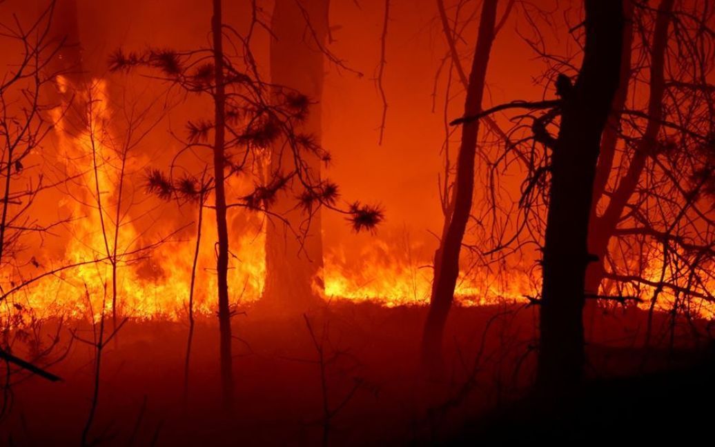 Пожажі в Житомирській області (Фото: Віталій Юшкевич) / © 