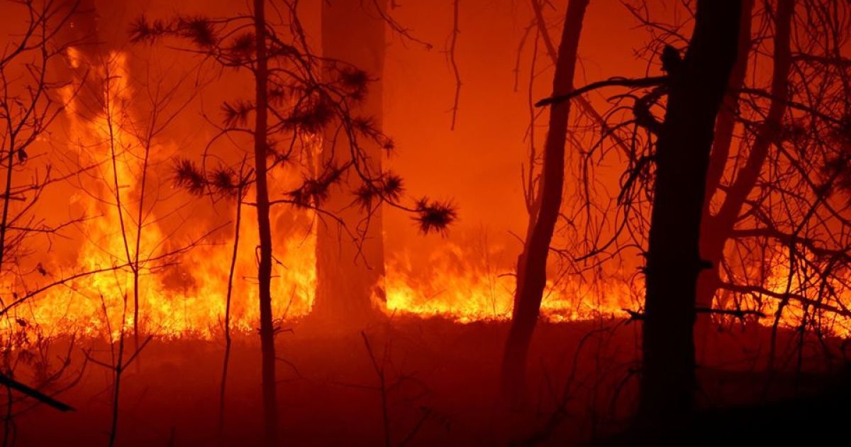 Пожажі в Житомирській області (Фото: Віталій Юшкевич)
