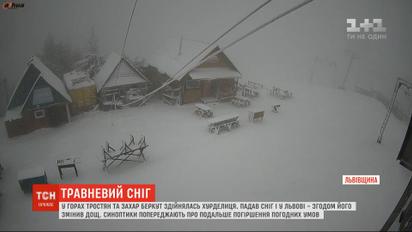 Лапатий сніг на квітах каштанів та бузку: захід України накрили снігопади