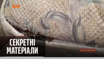 Как пассажиры "Укрзалізниці" страдают от клопов, которые живут в вагонах – "Секретные материалы"